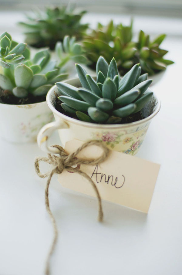 party_favors___love_lola_large_jpg