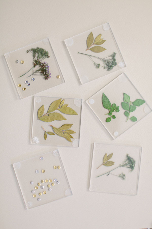 Posavasos botánicos de bricolaje