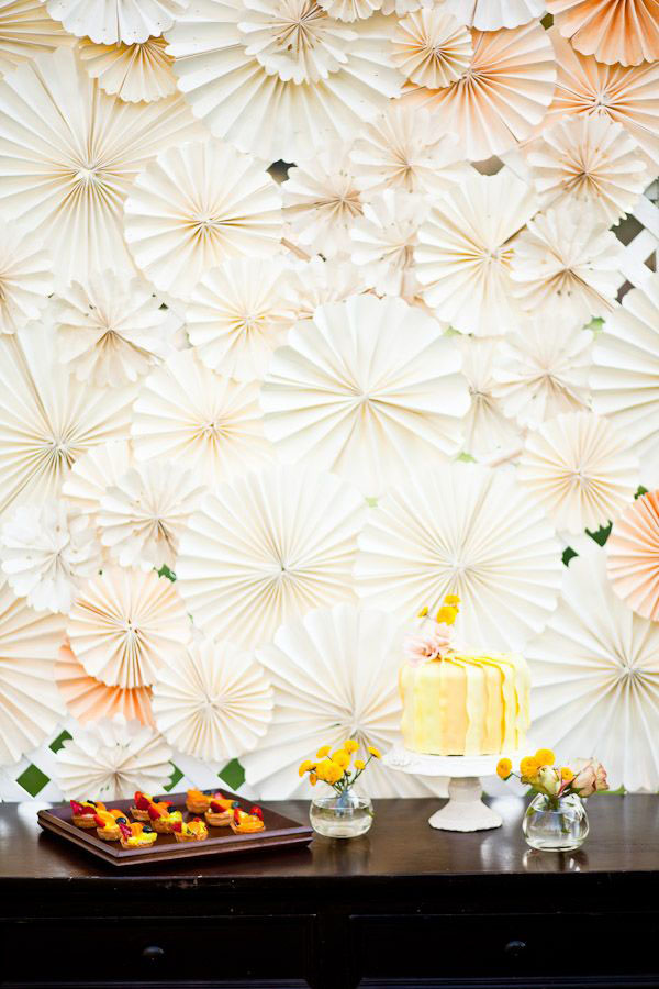 fondo para fotomat贸n con molinetes