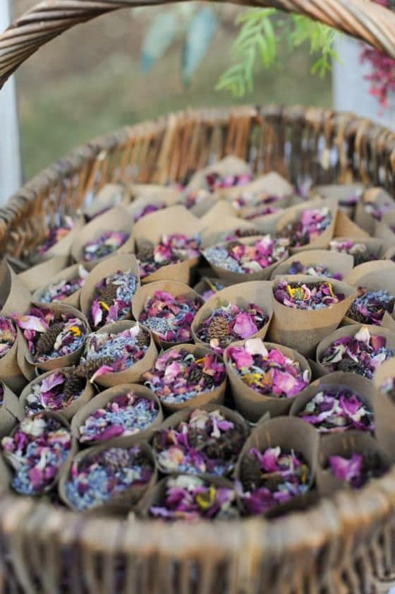 flores de lavanda