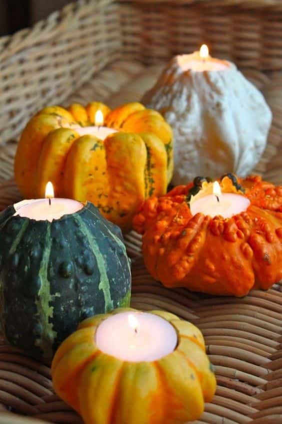 velas de calabazas