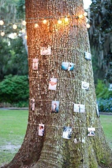 imagen de árbol