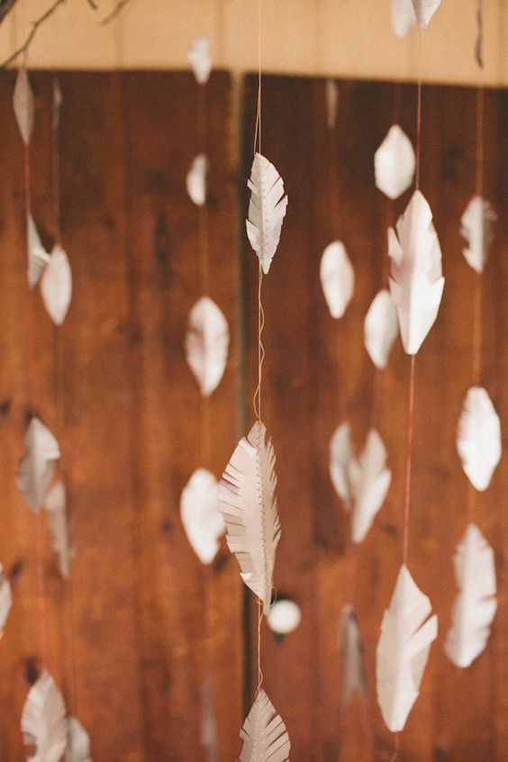 plumas
