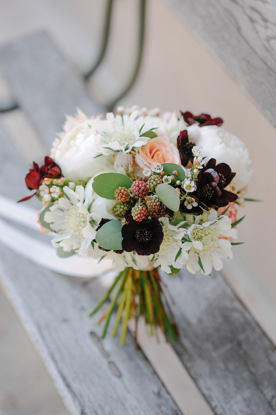 ramo de peonías, moras, scabiosa, flor de cera y cosmos